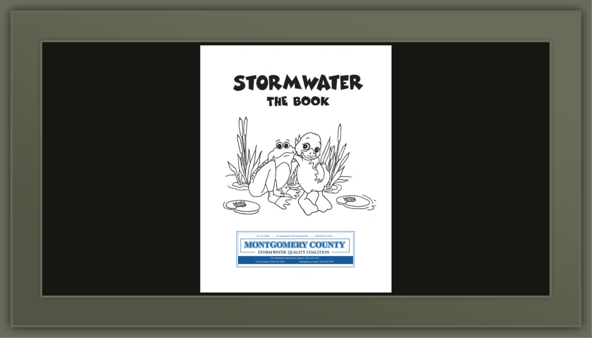 Stormwater Coloring Book